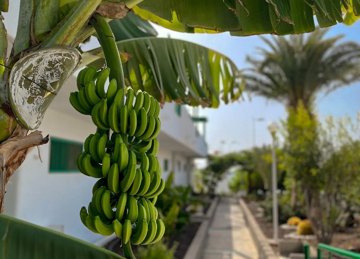 Beautiful Apartment Aguycan Beach 120 Playa Del Aguila Maspalomas